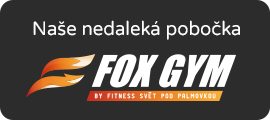 Fox Gym